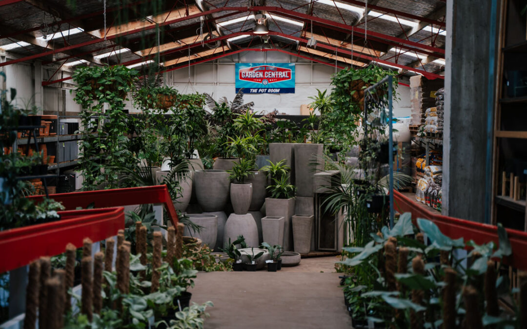 auckland garden centre