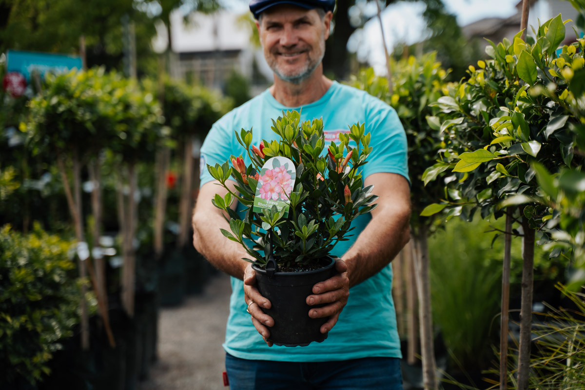 The Plant Shop Auckland Greenies Go To For All Things Gardening