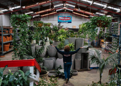 plant shops auckland